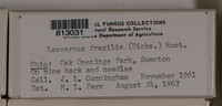 Image Associated With the Occurence